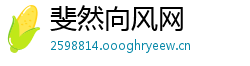 斐然向风网